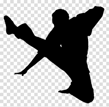 Kungfu Png Vector, Clipart, PSD - peoplepng.com