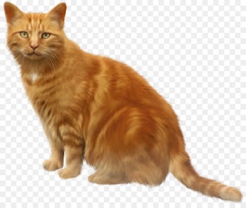 Kurilian Bobtail Black cat Clip art - Transparent bottom cat 