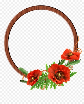 Kurta Amazon.com Flower Floral design Photography - Frame flowers 