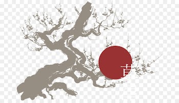 Kusatsu Onsen Yubatake Hot spring -  