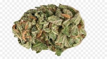 Kush Cannabis sativa Bud Vaporizer - marijuana 