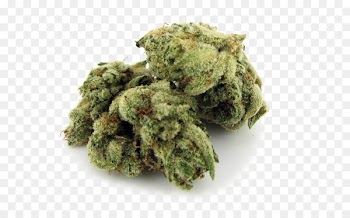 Kush Chewing gum California Cannabis Blue Dream - cannabis 