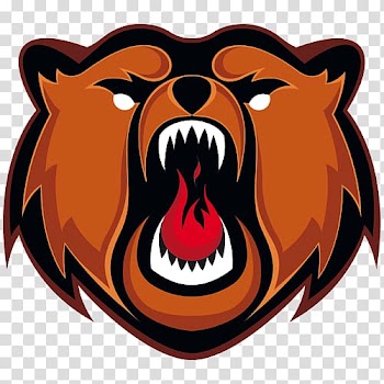 Kuznetsk Bears Kuznetsk Metallurgists Sports Palace Chelyabinsk Polar Bears Metallurg Novokuznetsk, bear transparent background PNG clipart