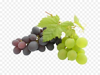 Kyoho Wine Grape seed oil - White grape,grape 
