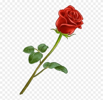 La Fleur Est Parfaite Nice Dessin De Rose En Couleur - Dessin De Rose En Couleur