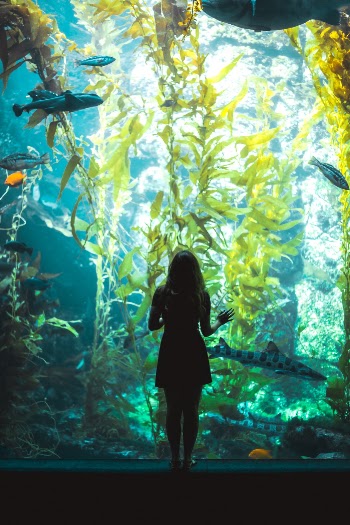 La Jolla, CA
