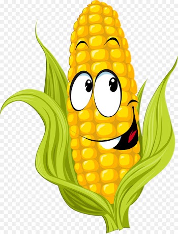La Seigneurie Maize - corn vector 