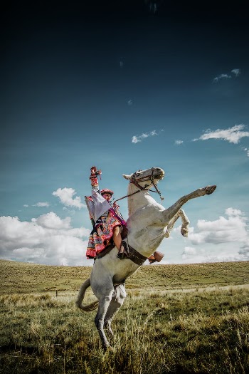 LA SOLTERA DOMINANTE