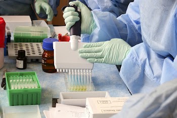Lab technician adding a solution | Free Photo - rawpixel