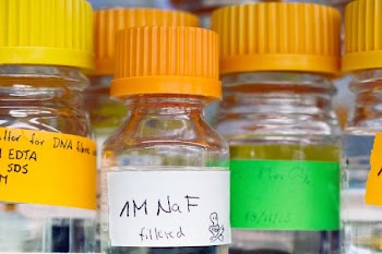Labeled Science Jars