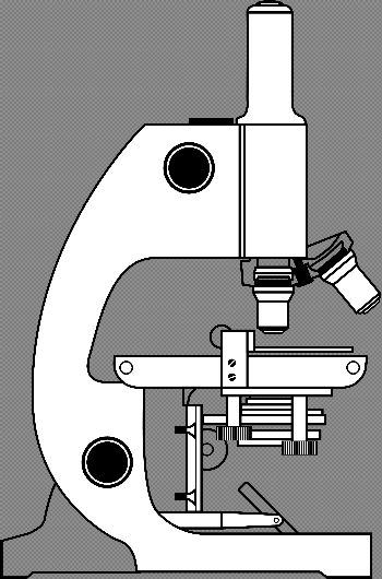 Labeling A Compound Light Microscope - Clip Art Library