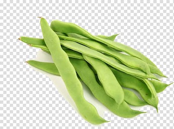 Lablab Broad bean Common Bean Vegetable, black beans transparent background PNG clipart