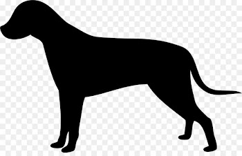 Labrador Retriever English Mastiff Clip art Openclipart Vector graphics -  