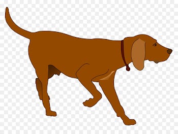Labrador Retriever German Shorthaired Pointer Hunting dog Clip art - beard pennant 