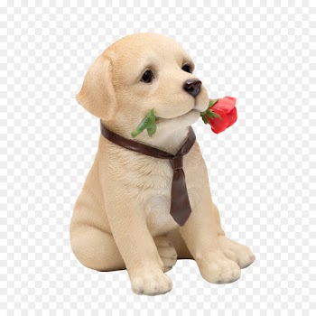 Labrador Retriever Golden Retriever Puppy Dog breed Companion dog - golden retriever 