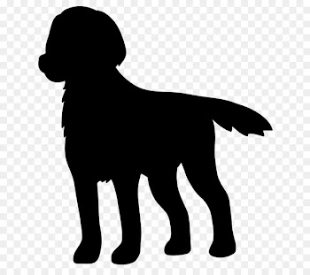 Labrador Retriever Puppy Dog breed Gun dog -  