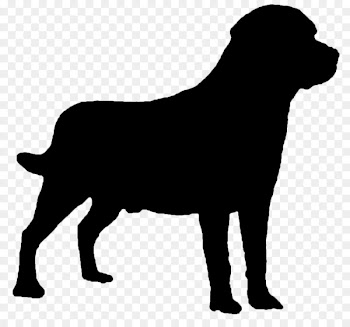 Labrador Retriever Sticker Spain Image Bull -  