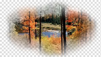 Lac Fortune Desktop High-definition television UXGA 4K resolution, others transparent background PNG clipart
