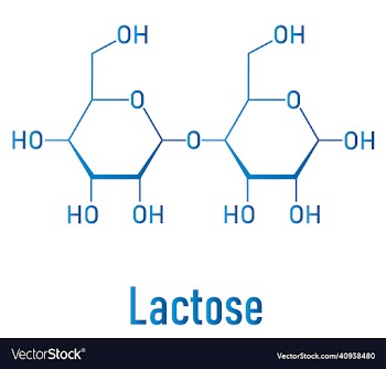 lactose milk sugar molecule skeletal formula