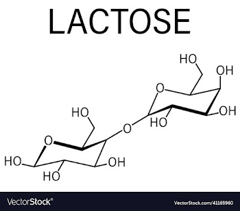 lactose milk sugar molecule skeletal formula
