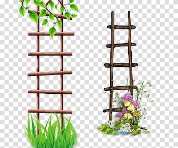 Ladder Albom Icon, Flower frame ladder transparent background PNG clipart