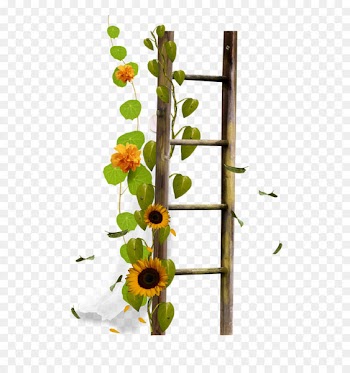 Ladder Stairs Sticker Clip art - Drawing Flower Flower Border Image 