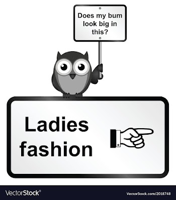  					Ladies fashion vector image														