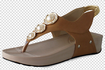 Ladies Sandal PNG Image Background