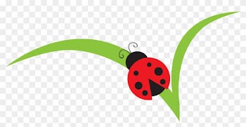 Lady Beetle Clipart Red Ladybug - Clip Art