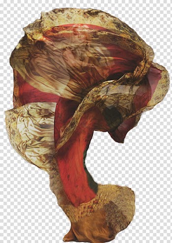 Lady Gaga , brown and red abstract illustration transparent background PNG clipart