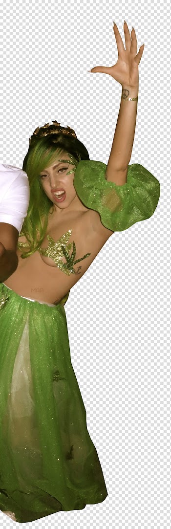 Lady Gaga transparent background PNG clipart