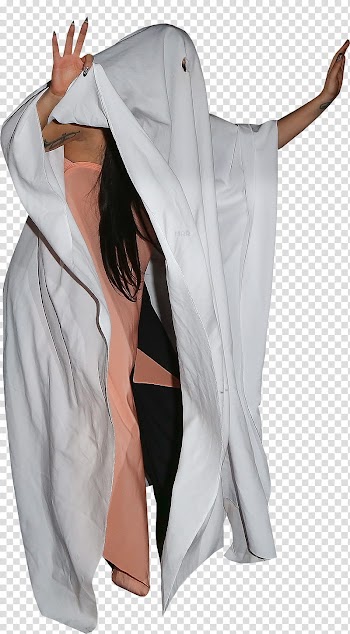 Lady Gaga transparent background PNG clipart