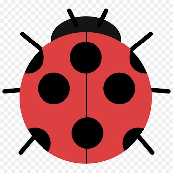 Ladybird beetle Bangkok Illustration Clip art Sports -  
