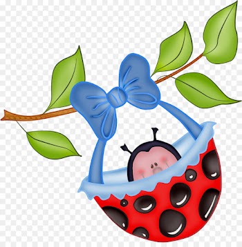 Ladybird Beetle, Beetle, Drawing, Leaf, Plant PNG