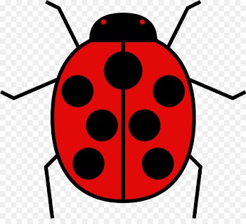 Ladybird beetle Clip art Computer file Image - beetle 