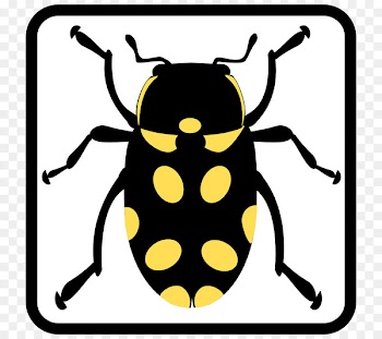 Ladybird beetle Clip art Shower Curtains Vector graphics - black insects 