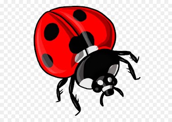 Ladybird beetle Drawing Clip art Word YouTube - word 