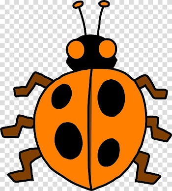 Ladybird beetle Honey bee Cartoon , beetle transparent background PNG clipart