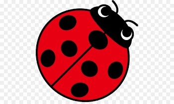 Ladybird beetle Illustration Silhouette Clip art Design - ladybug 