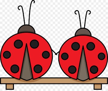 Ladybird beetle Pattern Clip art Illustration Rubber stamp - color stamp 