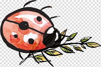 Ladybird Insect Watercolor painting, Watercolor Seven Lady Ladybug transparent background PNG clipart