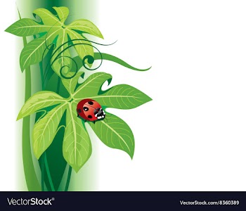 Ladybird on a Leaf vector image