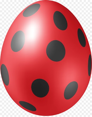 Ladybird Red Beetle - Red ladybug eggs 