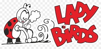 Ladybirds Cleaning Services Ltd Commercial cleaning Cleaner Maid service - cardiff graphic 