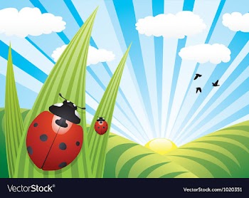  					Ladybirds on the leaves vector image														