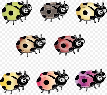 Ladybug
