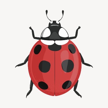 Ladybug clipart, cute cartoon illustration | Free PSD Illustration - rawpixel