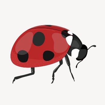 Ladybug clipart, cute cartoon illustration | Free PSD Illustration - rawpixel