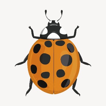 Ladybug clipart, cute cartoon illustration | Free PSD Illustration - rawpixel