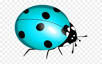 Ladybug Clipart Teal - Lady Bug Clip Art